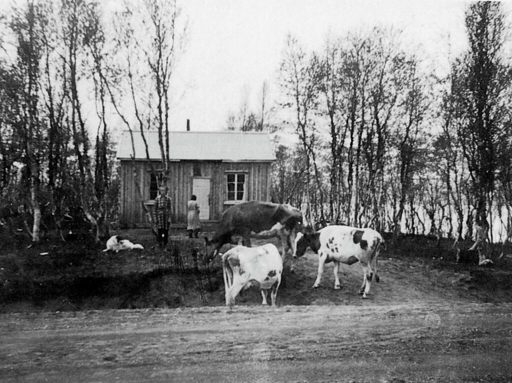 Svartvitt foto med enkel stuga, flicka, hund och fj&auml;llkor